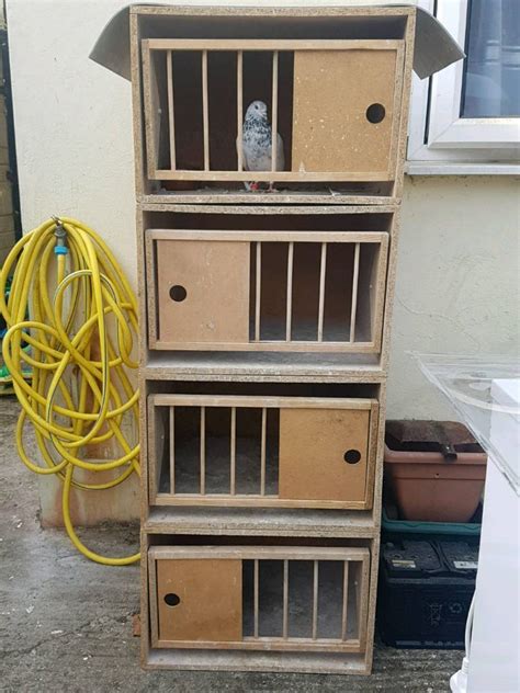 second hand pigeon breeding boxes